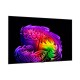 LG OLED77G6 2026 - TV OLED 4K 195CM avec support mural inclus