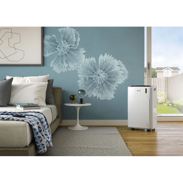 DeLonghi PAC EM90 Silent - Climatiseur mobile 9 800 BTU R290 Classe A