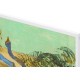 LG 55LX7B6LA 2026 Gallery - TV Mini LED 139cm