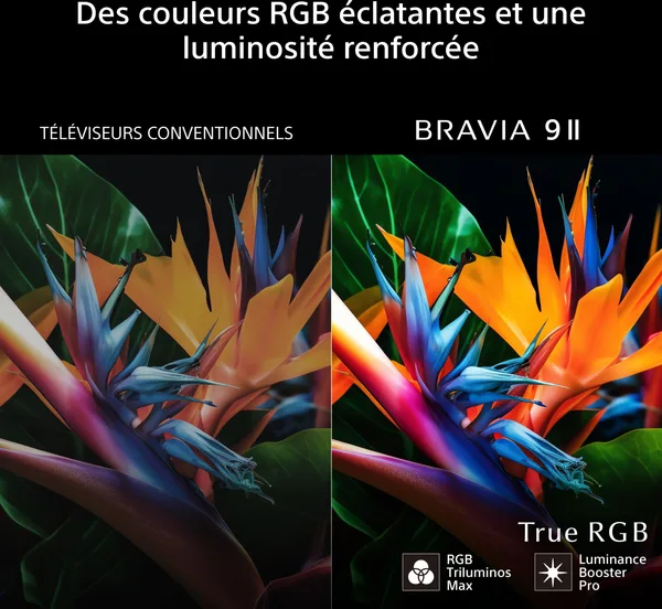 Luminance Booster Pro Sony BRAVIA 9 II
