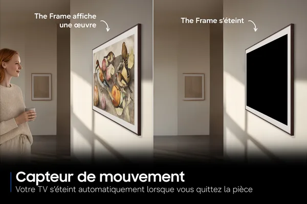 Samsung The Frame Pro Neo QLED Mini LED