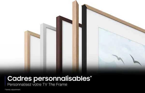 Samsung The Frame Pro Mode Art