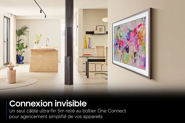 Installation Samsung The Frame Slim Fit