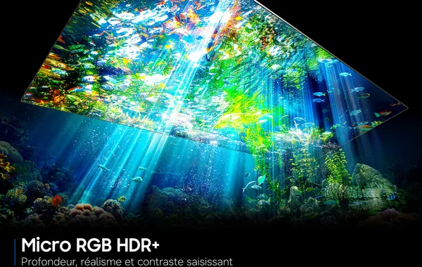 Technologie Samsung Micro RGB